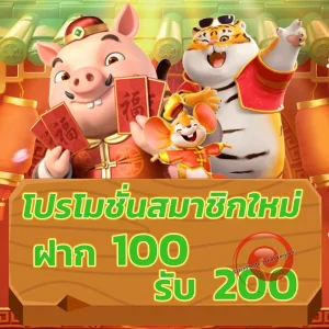 ราชา479 slot